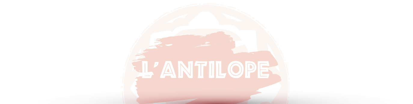 L'antilope
