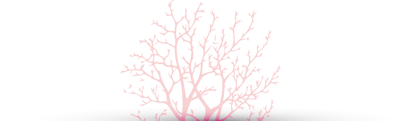 aubépine