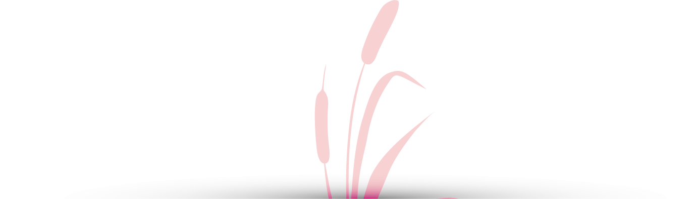 roseau