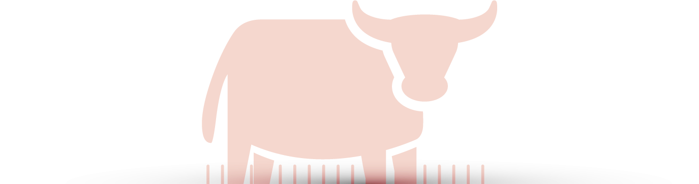Le Bœuf des Rizières