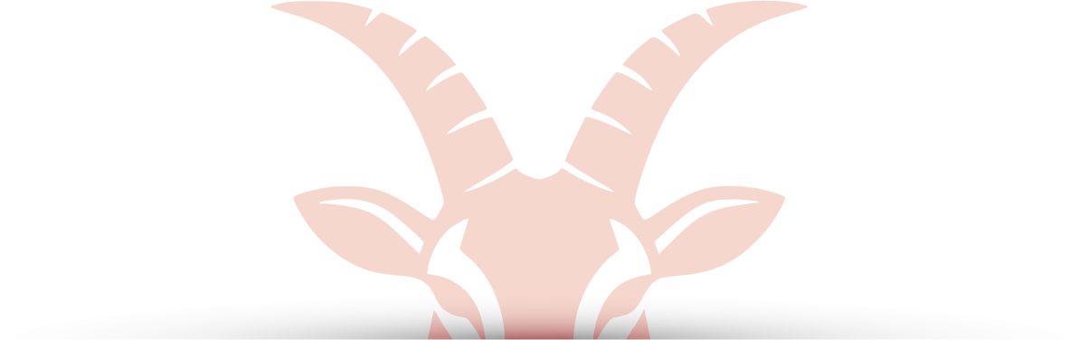 Capricorne